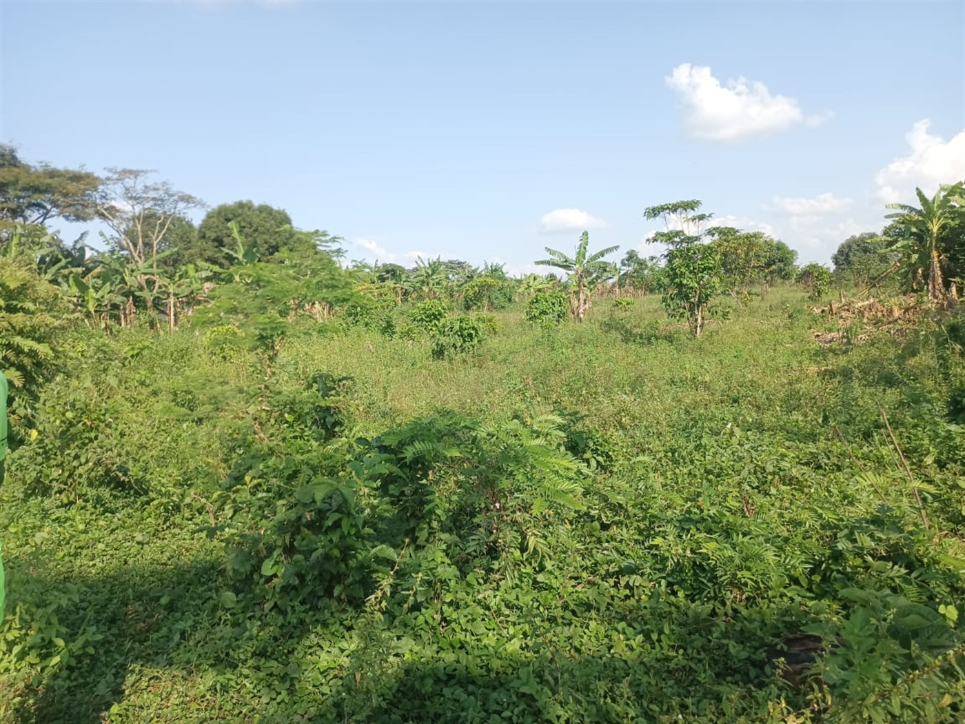 Residential land for sale in Kiwenda Wakiso Uganda