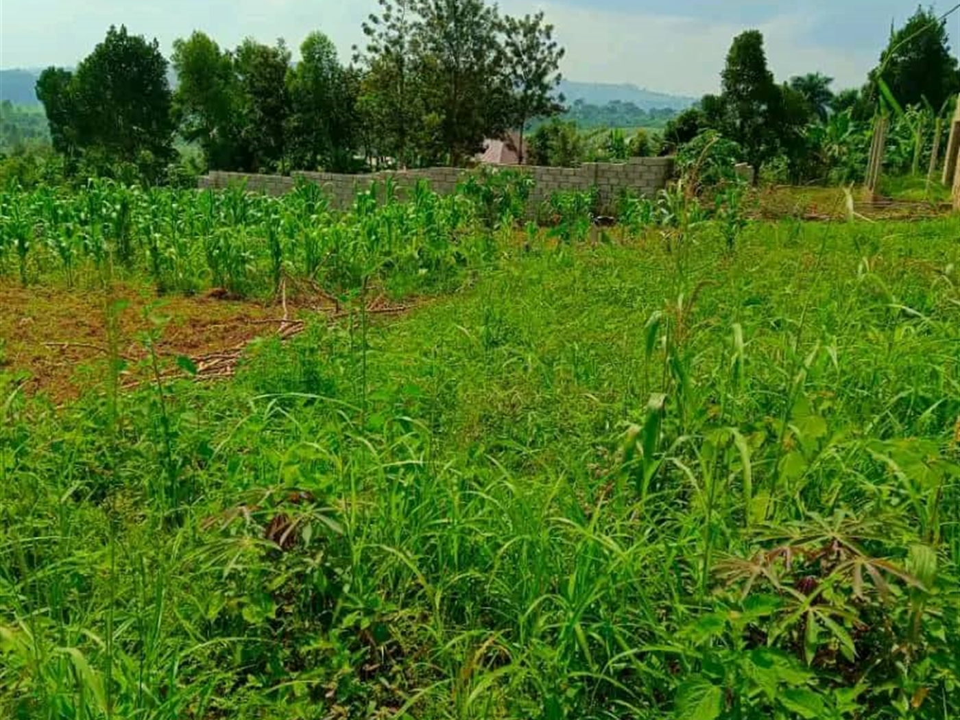 Residential land for sale in Kitende Wakiso Uganda