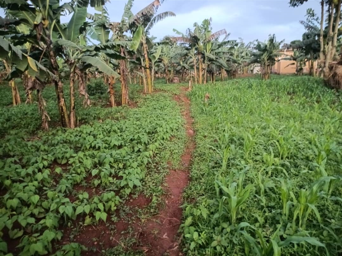 Residential land for sale in Kitende Wakiso Uganda