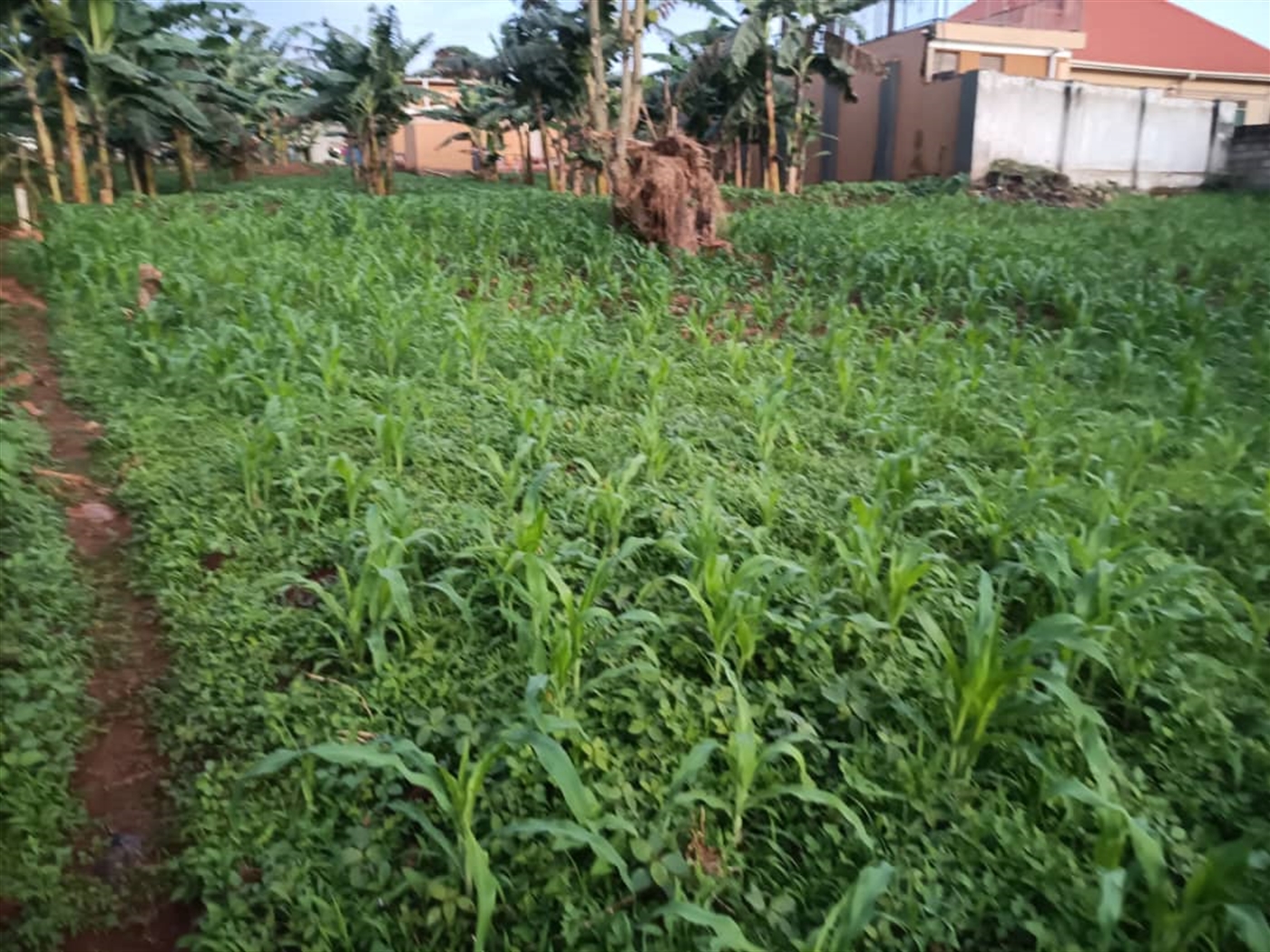 Residential land for sale in Kitende Wakiso Uganda