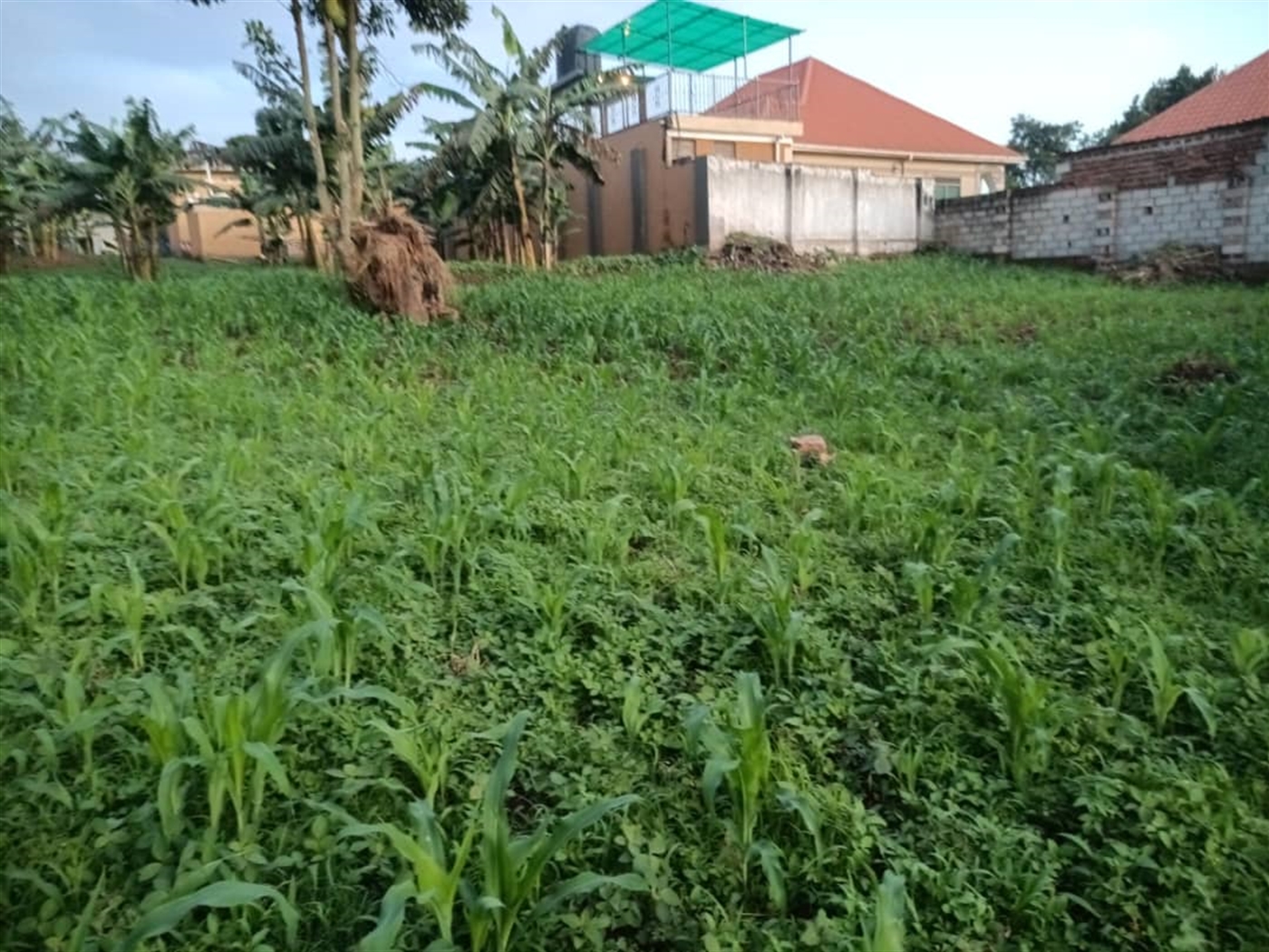 Residential land for sale in Kitende Wakiso Uganda
