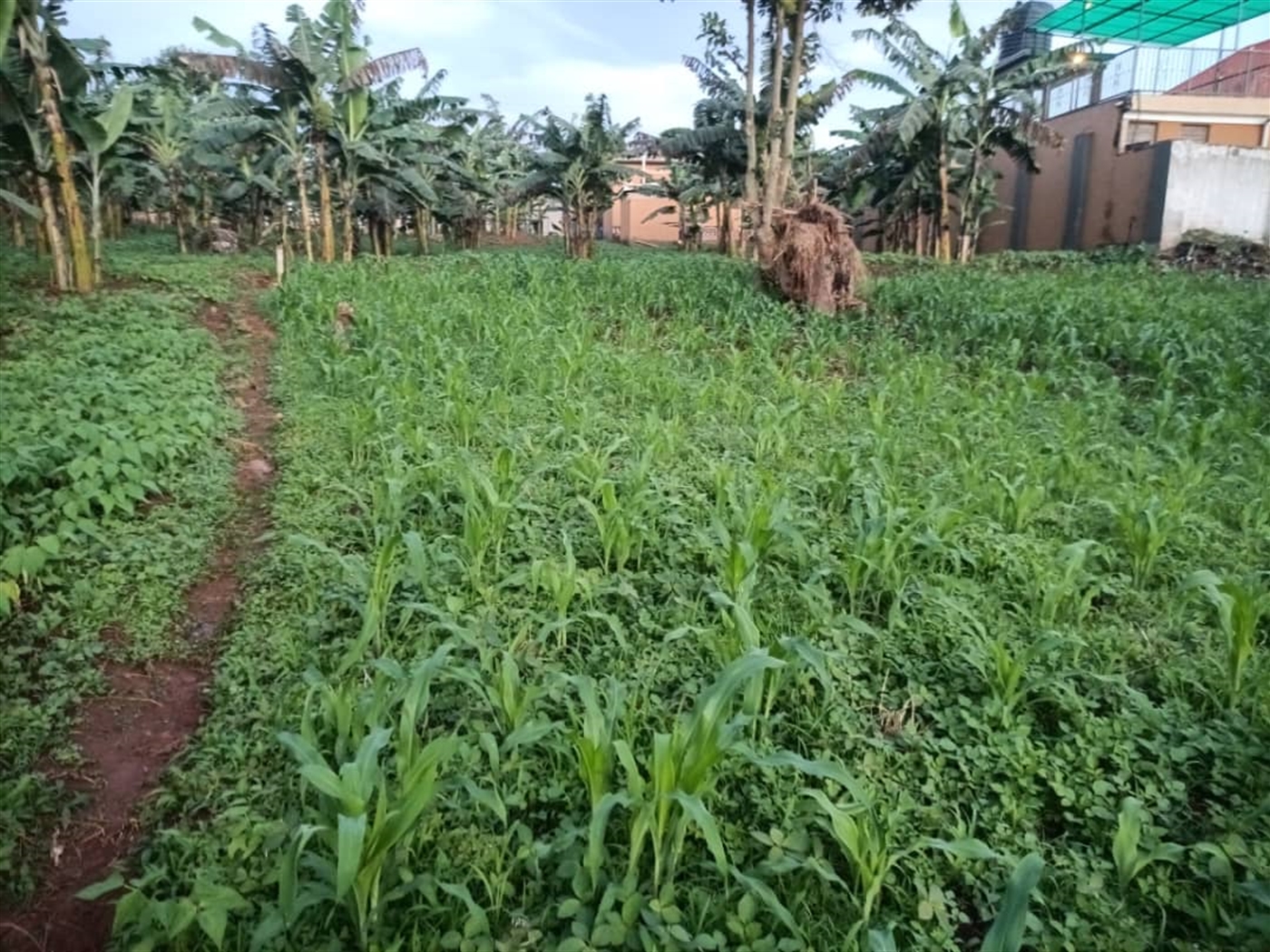 Residential land for sale in Kitende Wakiso Uganda