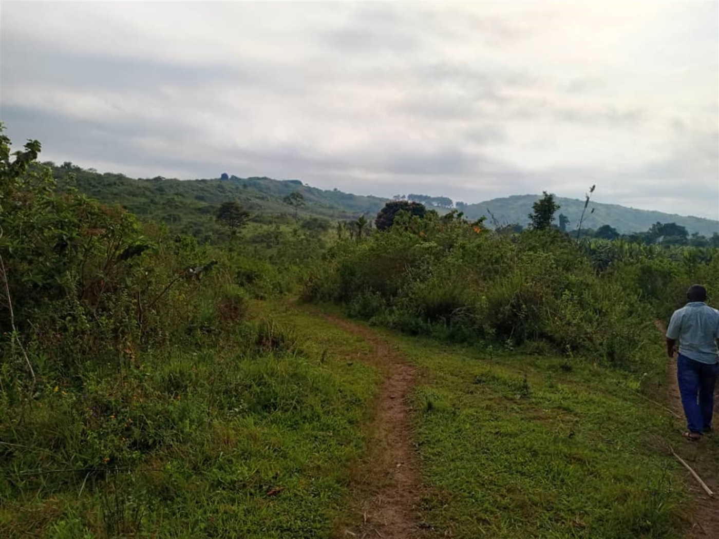 Residential land for sale in Kitende Wakiso Uganda