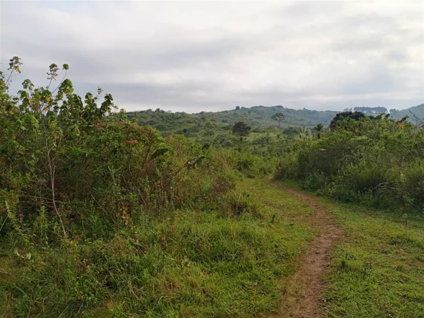 Residential land for sale in Kitende Wakiso Uganda
