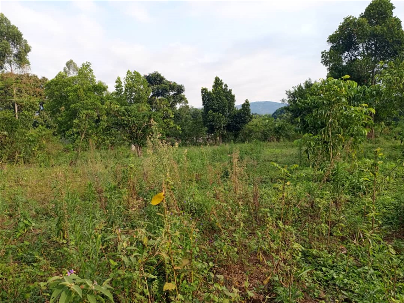 Residential land for sale in Kitende Wakiso Uganda