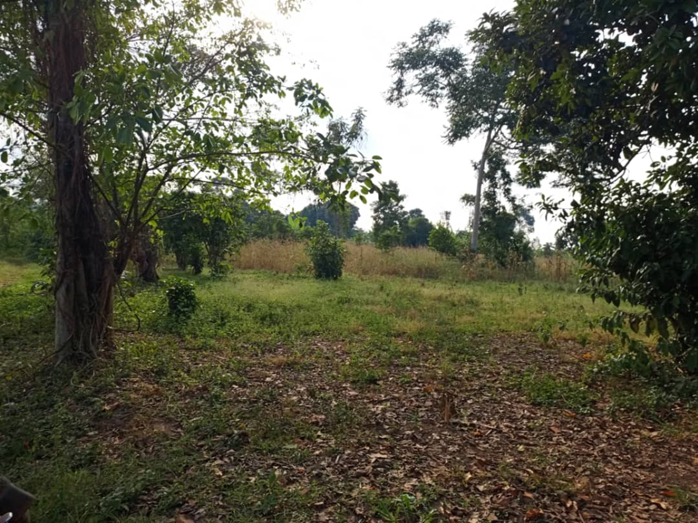 Residential land for sale in Kitende Wakiso Uganda