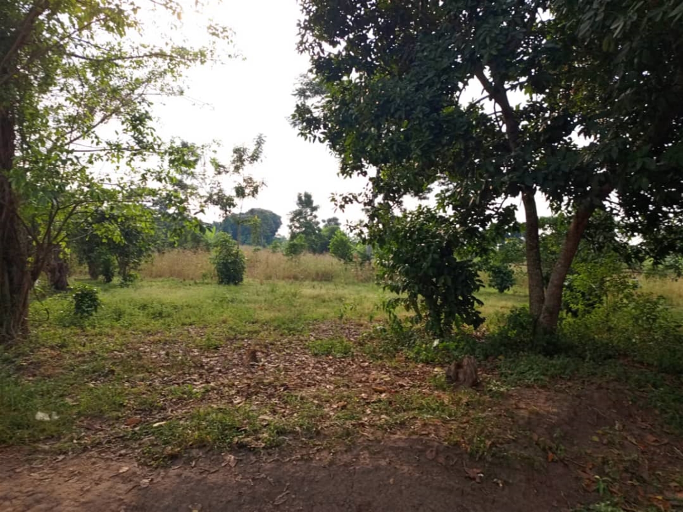 Residential land for sale in Kitende Wakiso Uganda