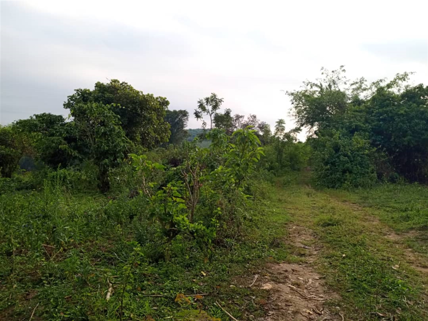 Residential land for sale in Kitende Wakiso Uganda