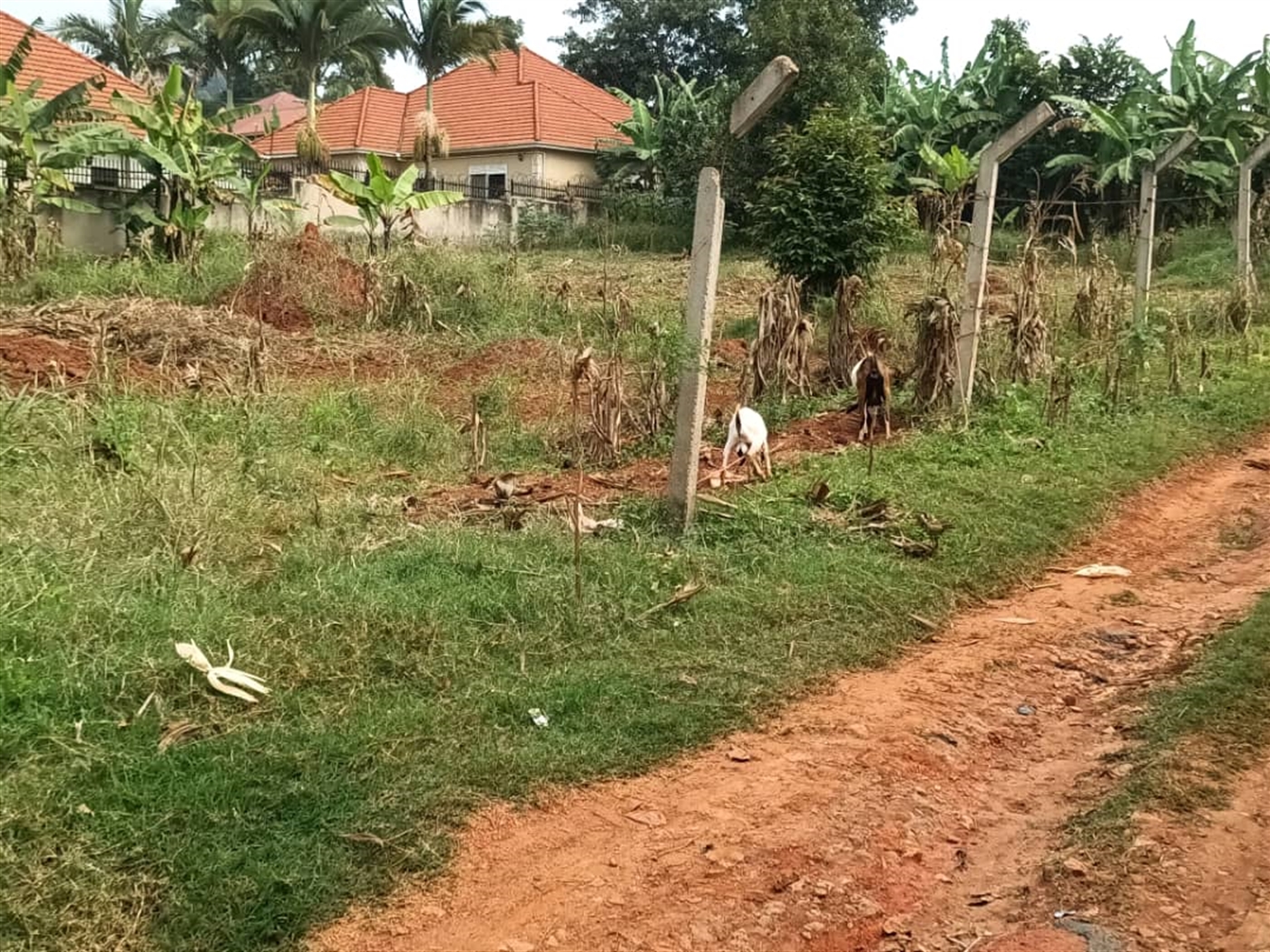 Residential land for sale in Kitende Wakiso Uganda