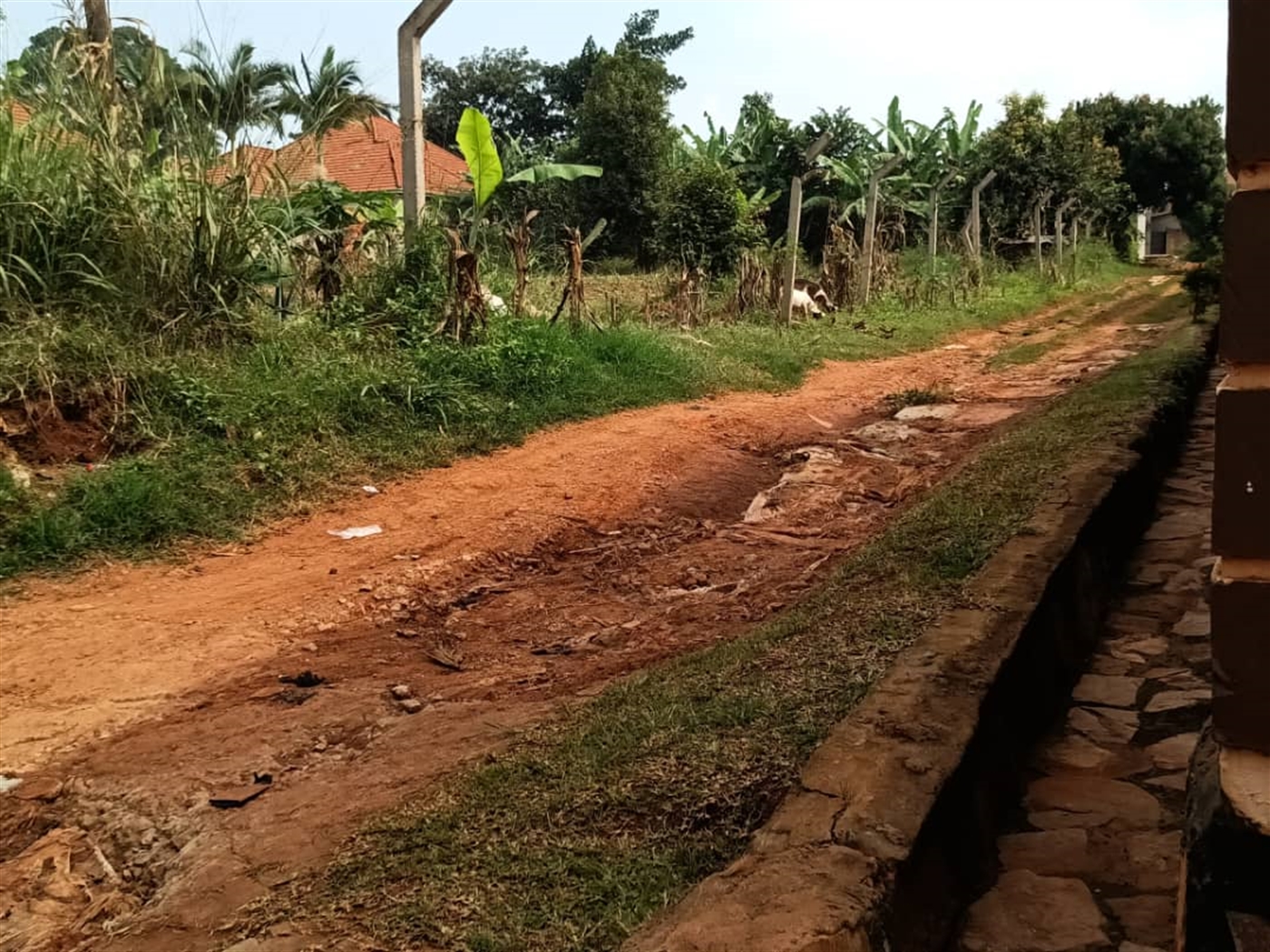 Residential land for sale in Kitende Wakiso Uganda