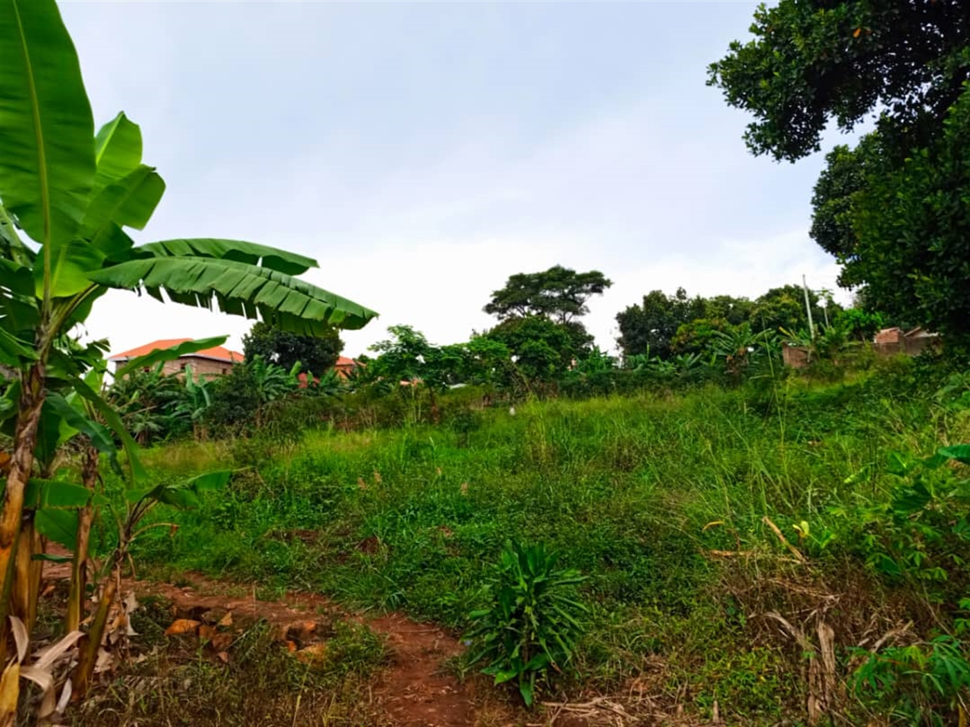 Residential land for sale in Kireka Wakiso Uganda