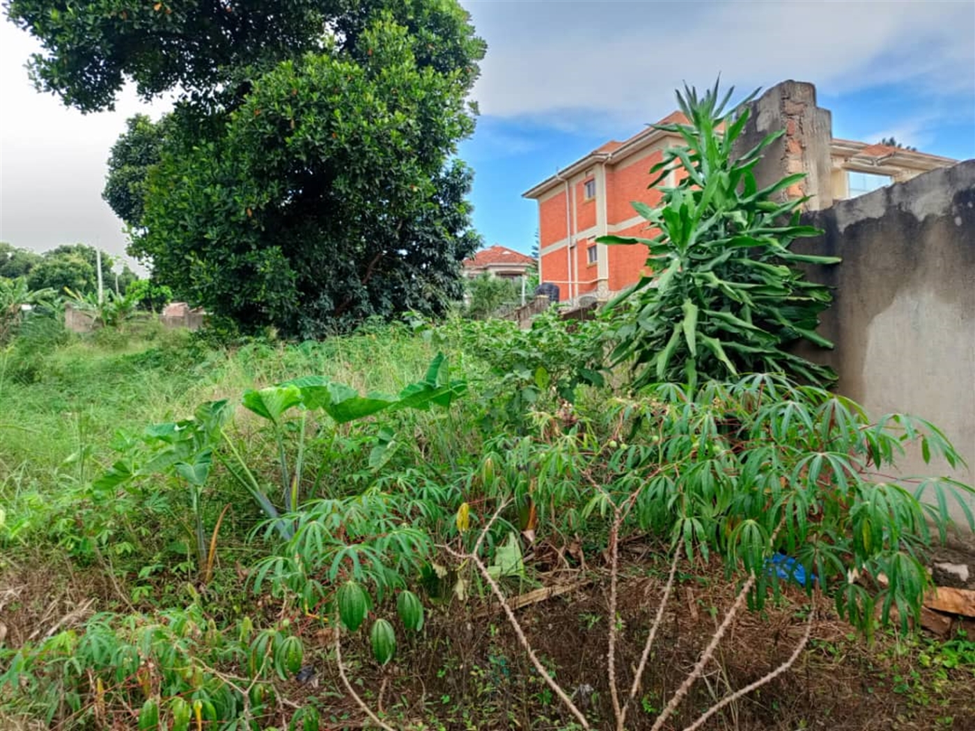 Residential land for sale in Kireka Wakiso Uganda