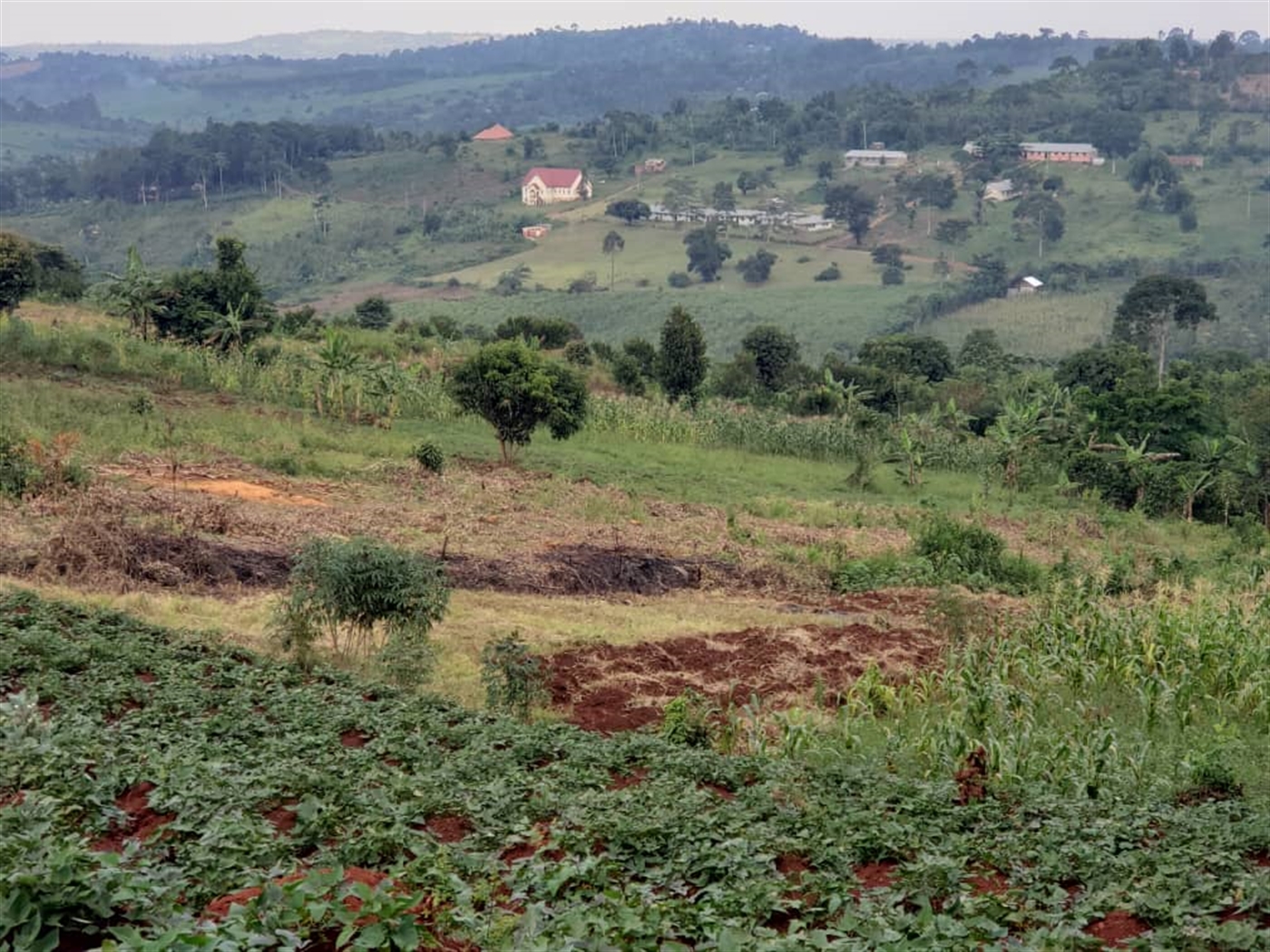 Residential land for sale in Lugazi Jinja Uganda