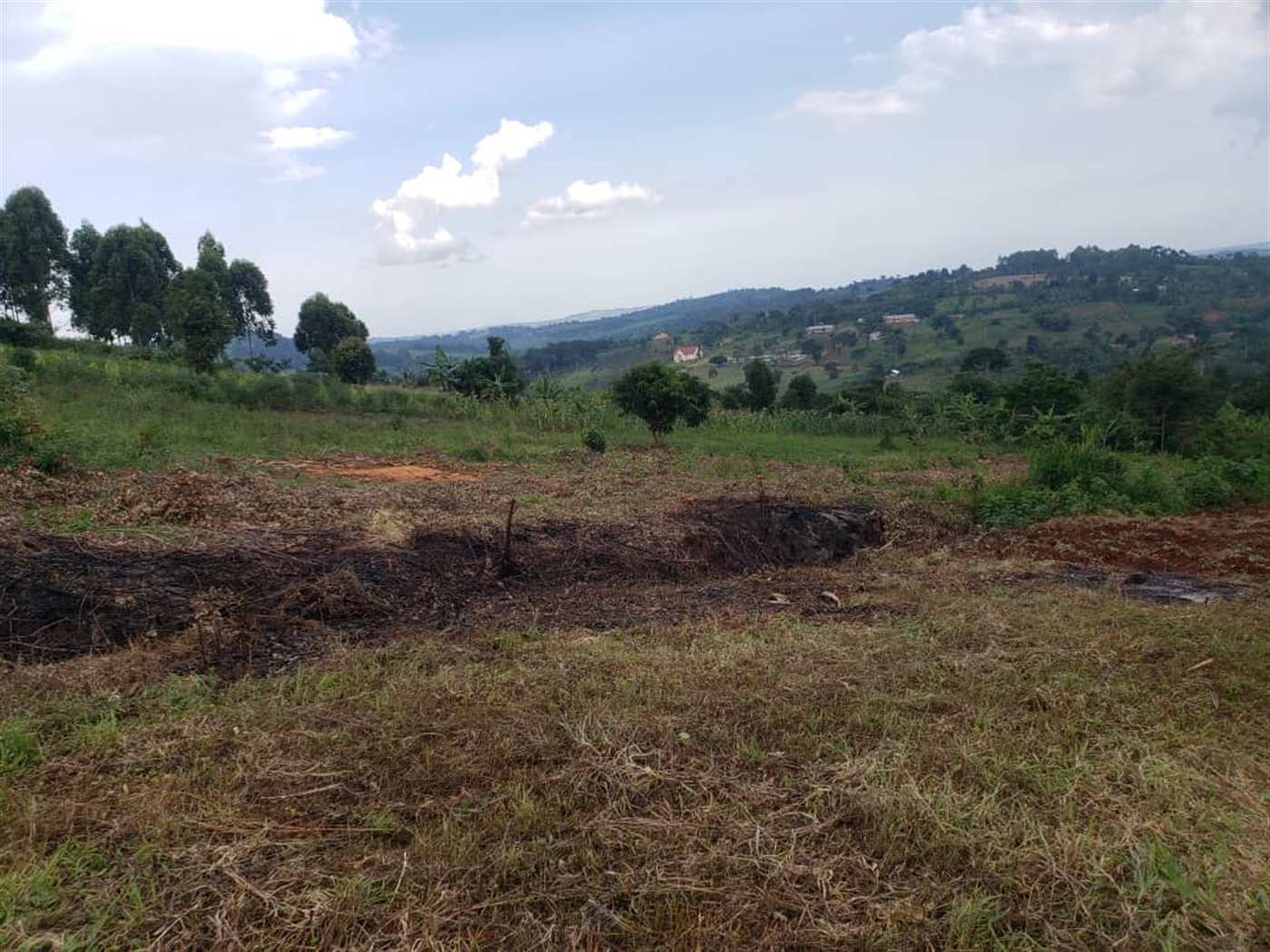 Residential land for sale in Lugazi Jinja Uganda