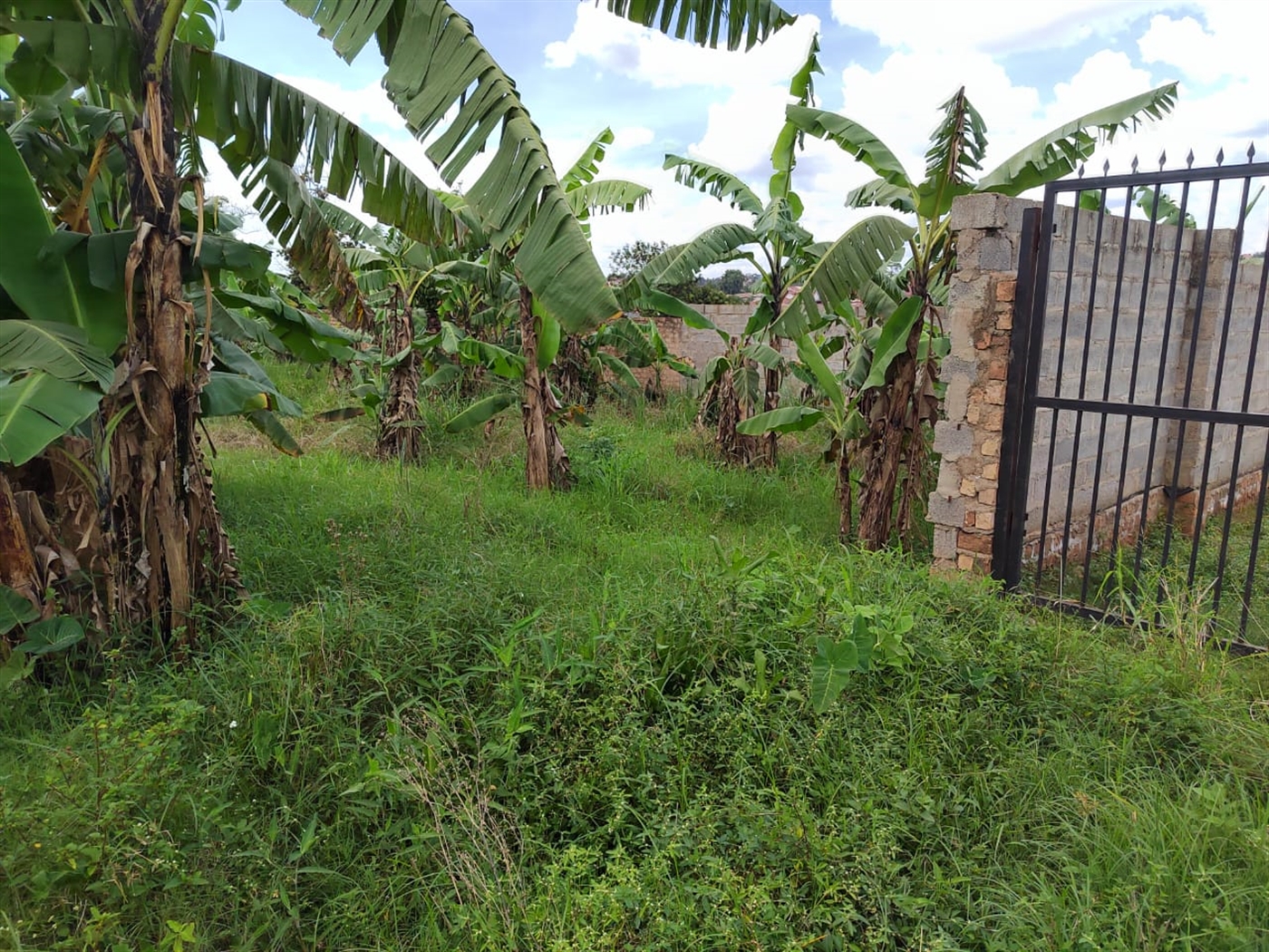 Residential land for sale in Lungujja Kampala Uganda