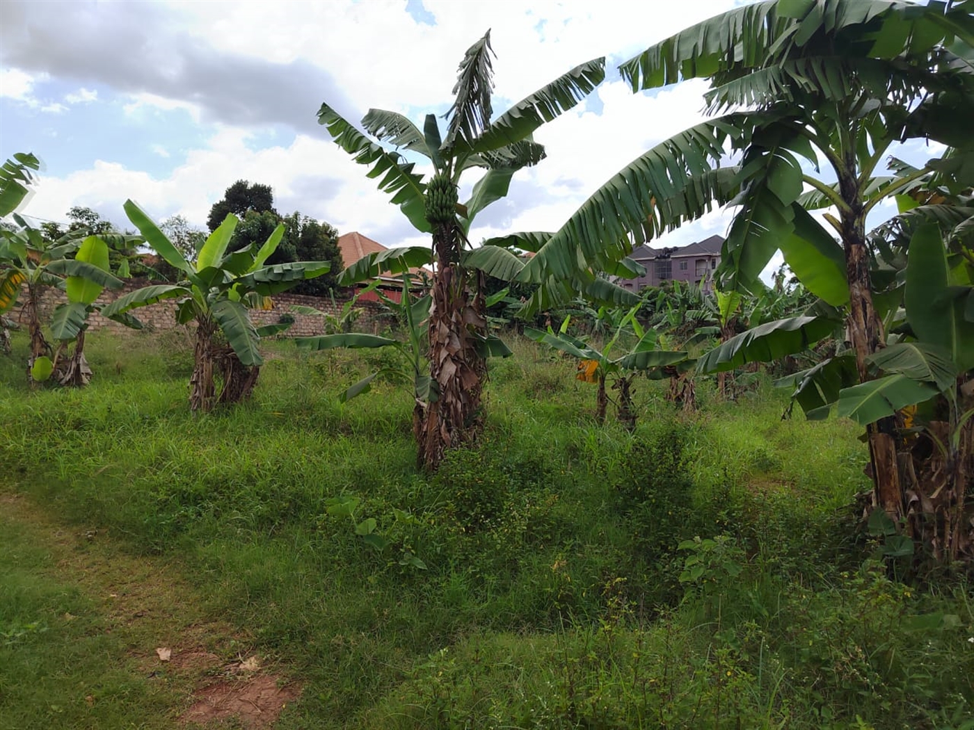Residential land for sale in Lungujja Kampala Uganda