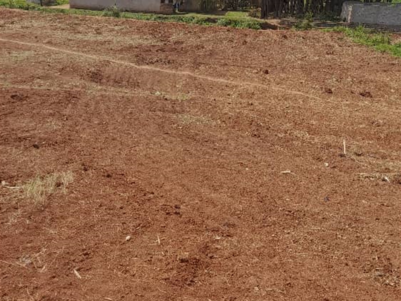 Residential land for sale in Lungujja Wakiso Uganda