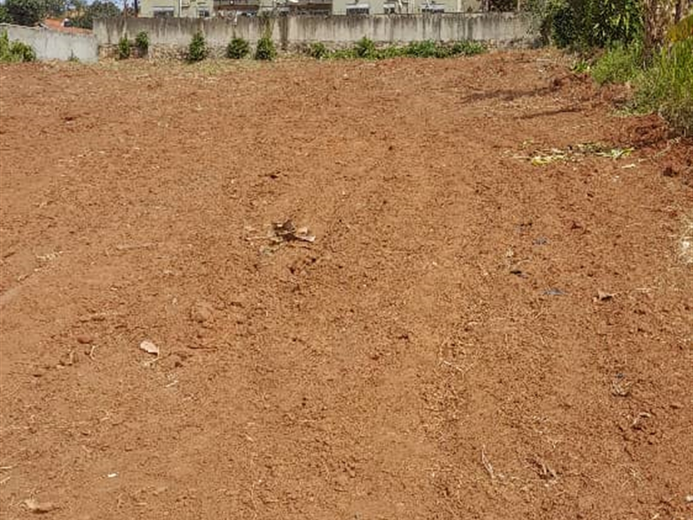 Residential land for sale in Lungujja Wakiso Uganda