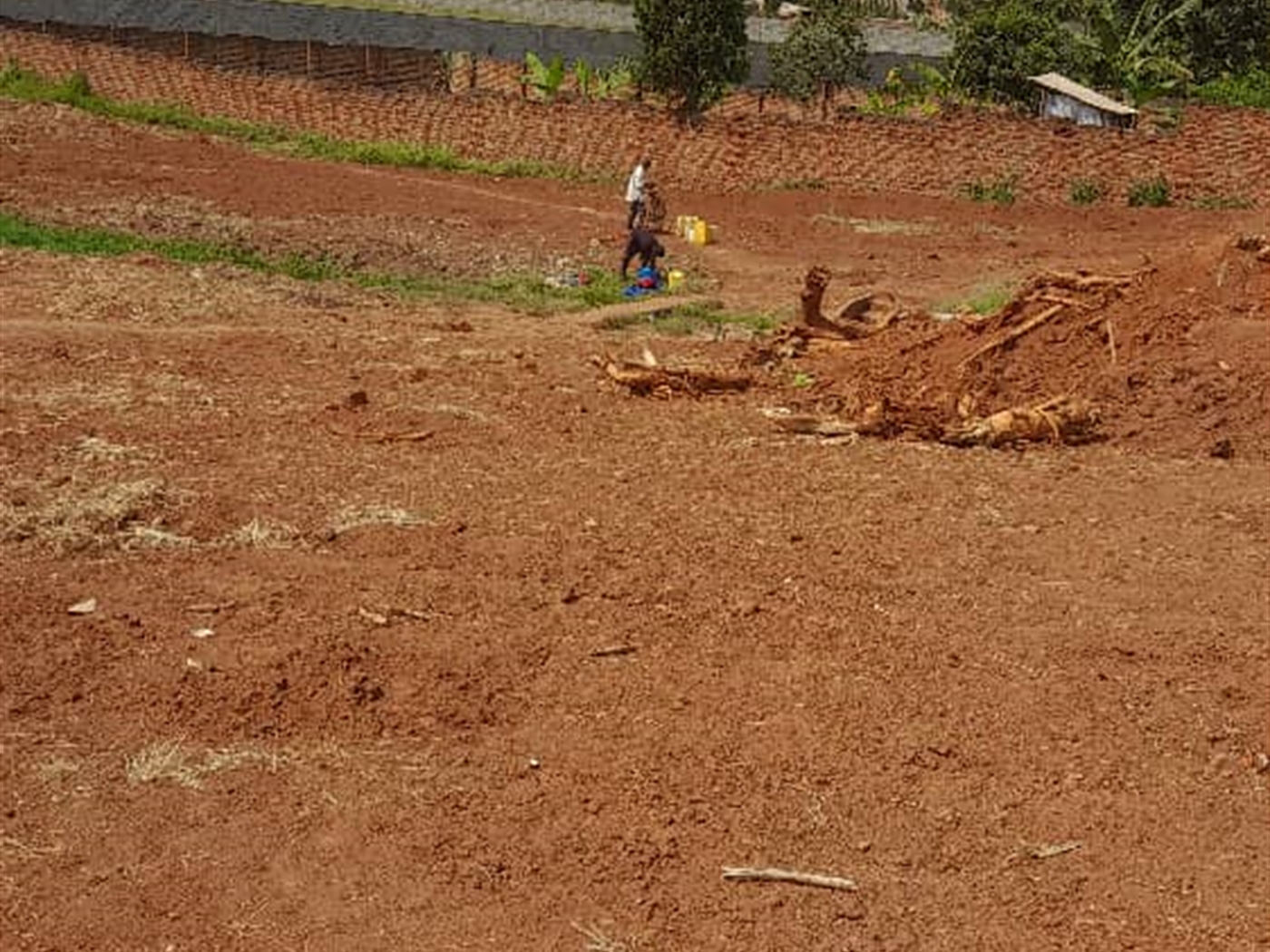 Residential land for sale in Lungujja Wakiso Ugand...