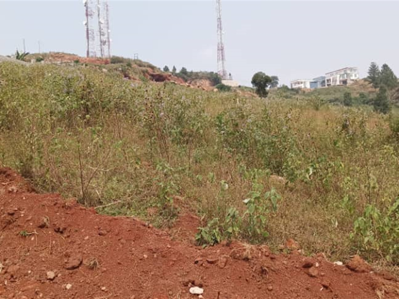 Residential land for sale in Lutembe Wakiso Uganda