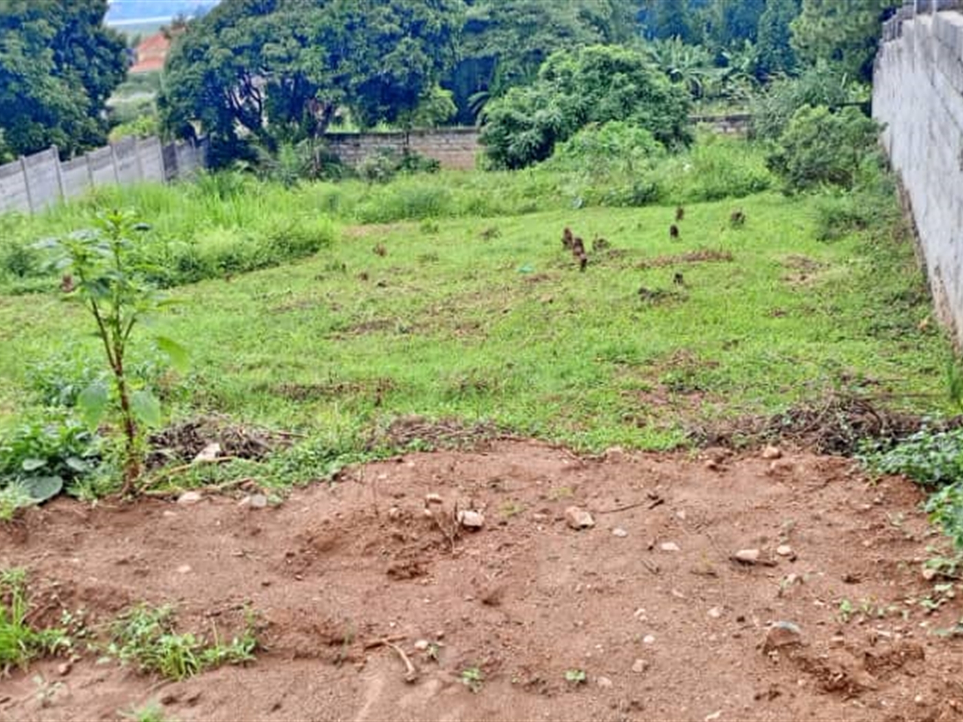 Residential land for sale in Lutembe Wakiso Uganda