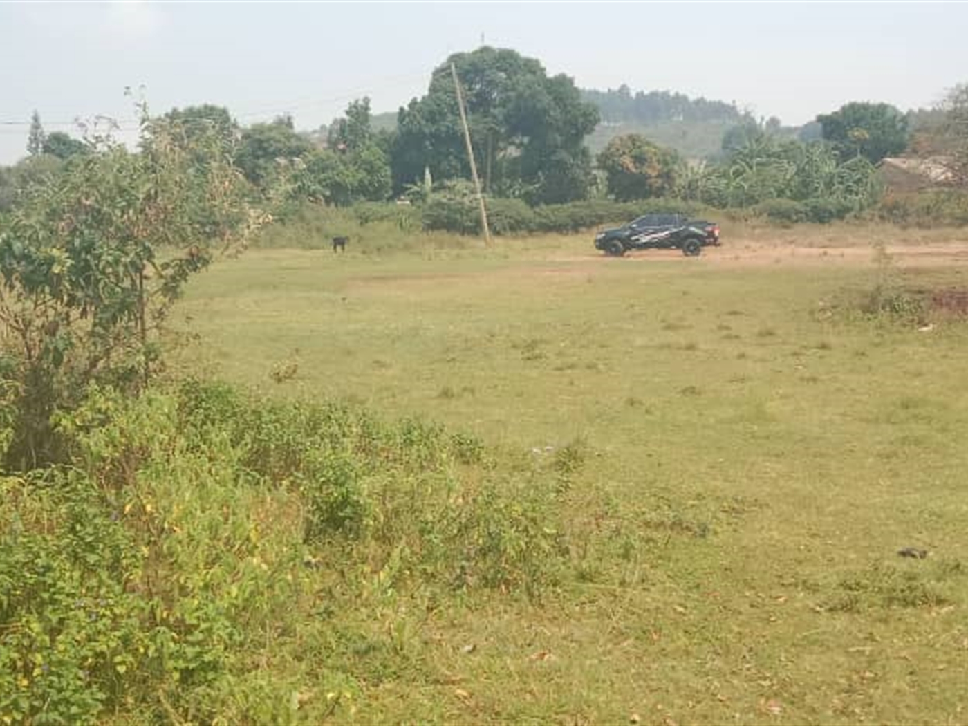 Residential land for sale in Lutembe Wakiso Uganda