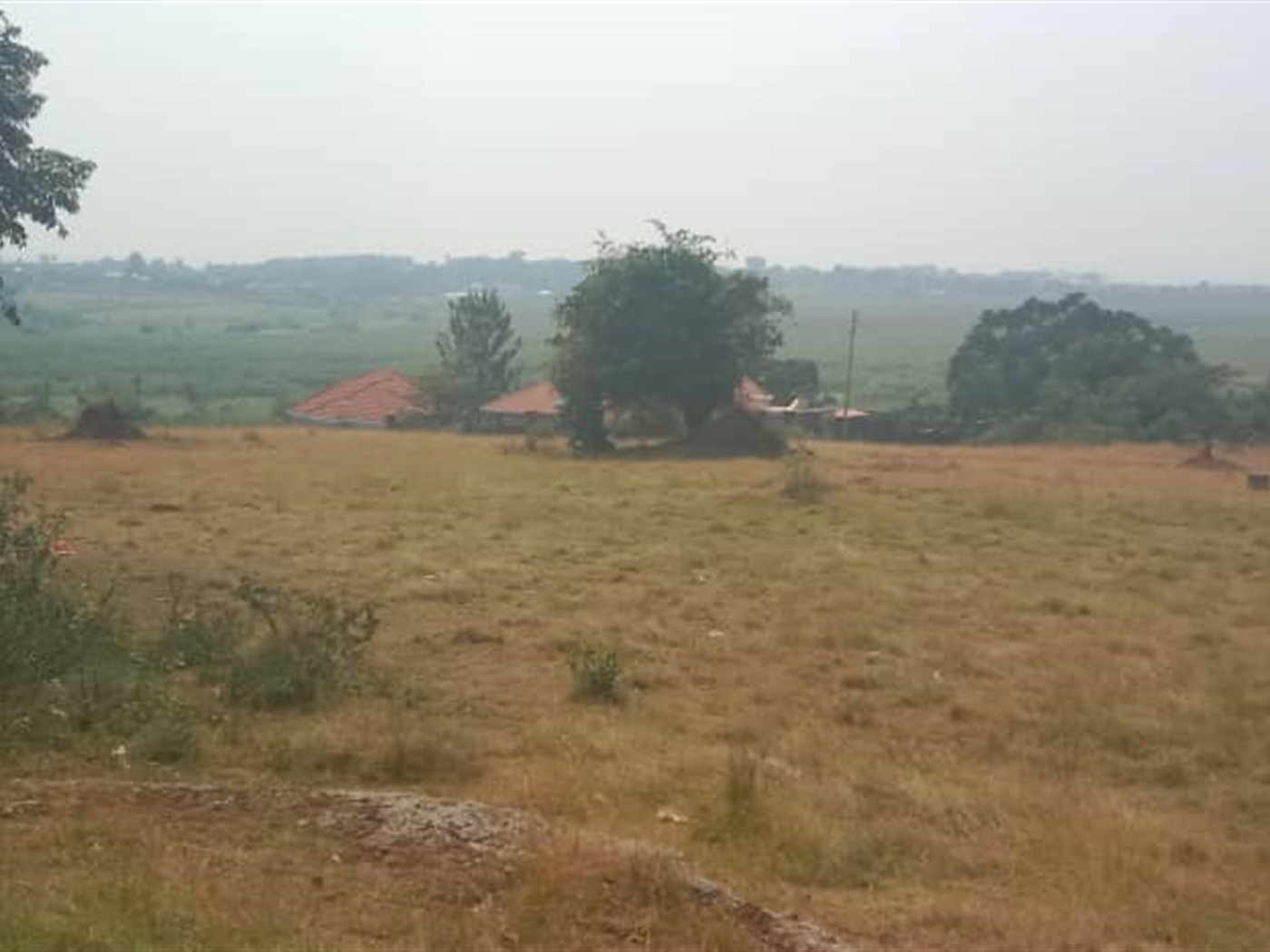 Residential land for sale in Lutembe Wakiso Uganda