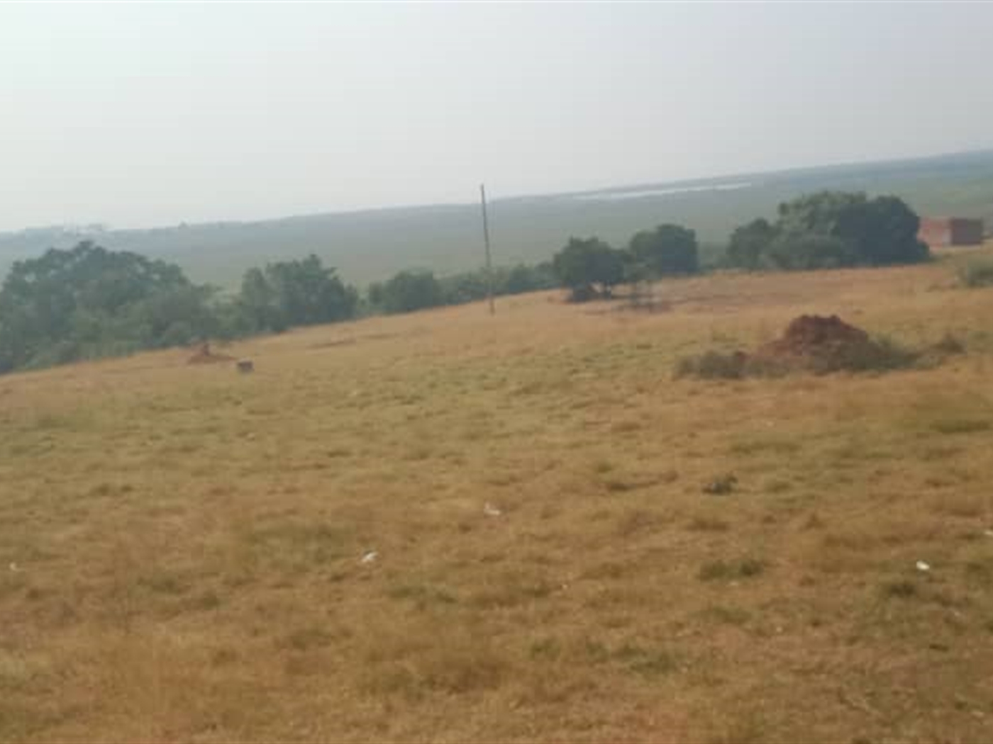 Residential land for sale in Lutembe Wakiso Uganda