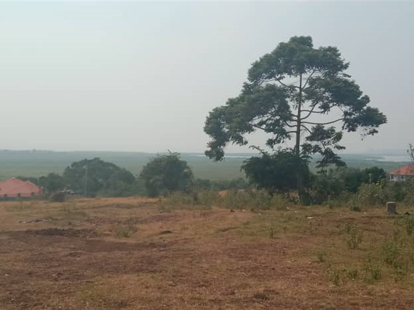Residential land for sale in Lutembe Wakiso Uganda