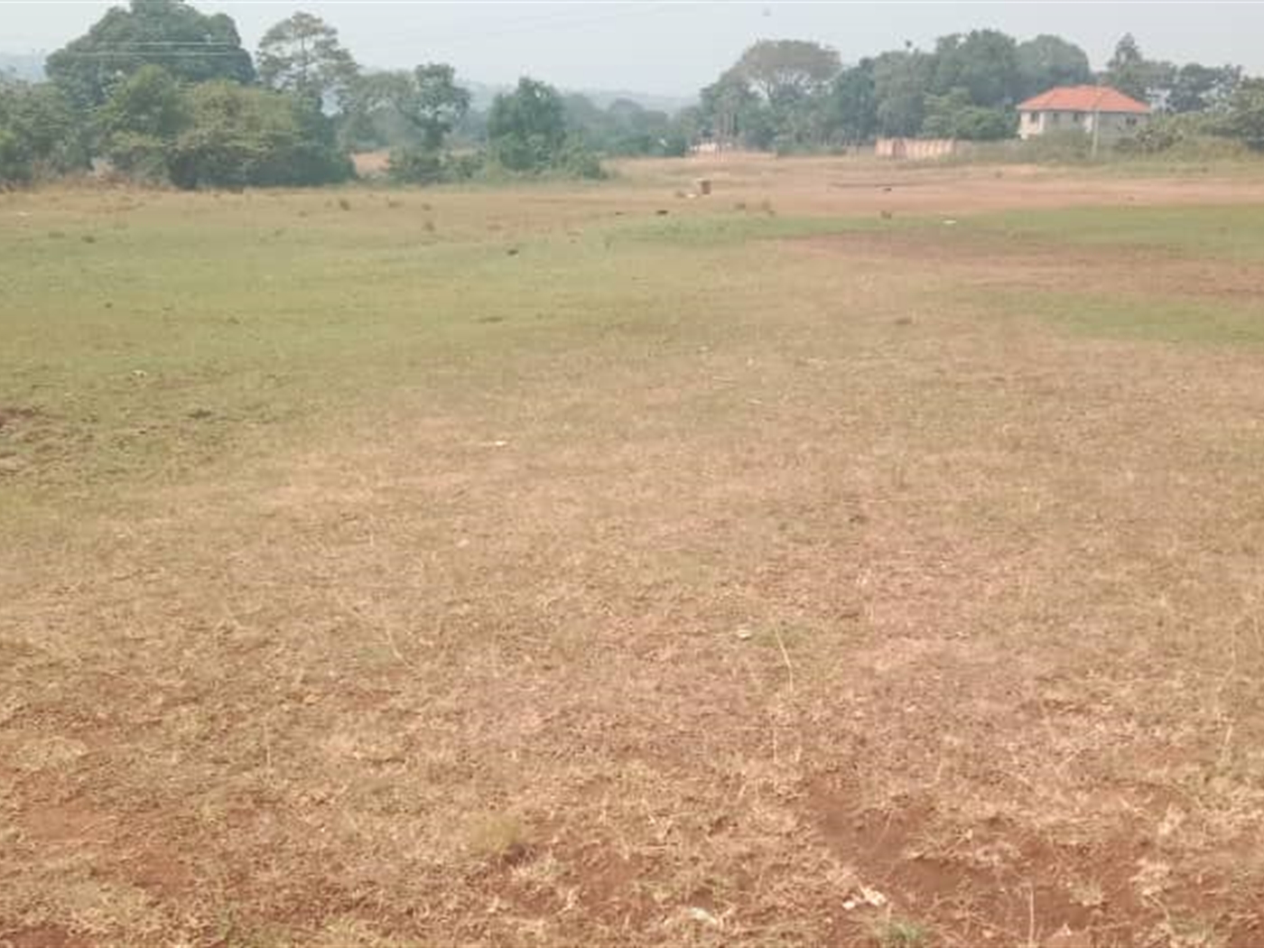 Residential land for sale in Lutembe Wakiso Uganda