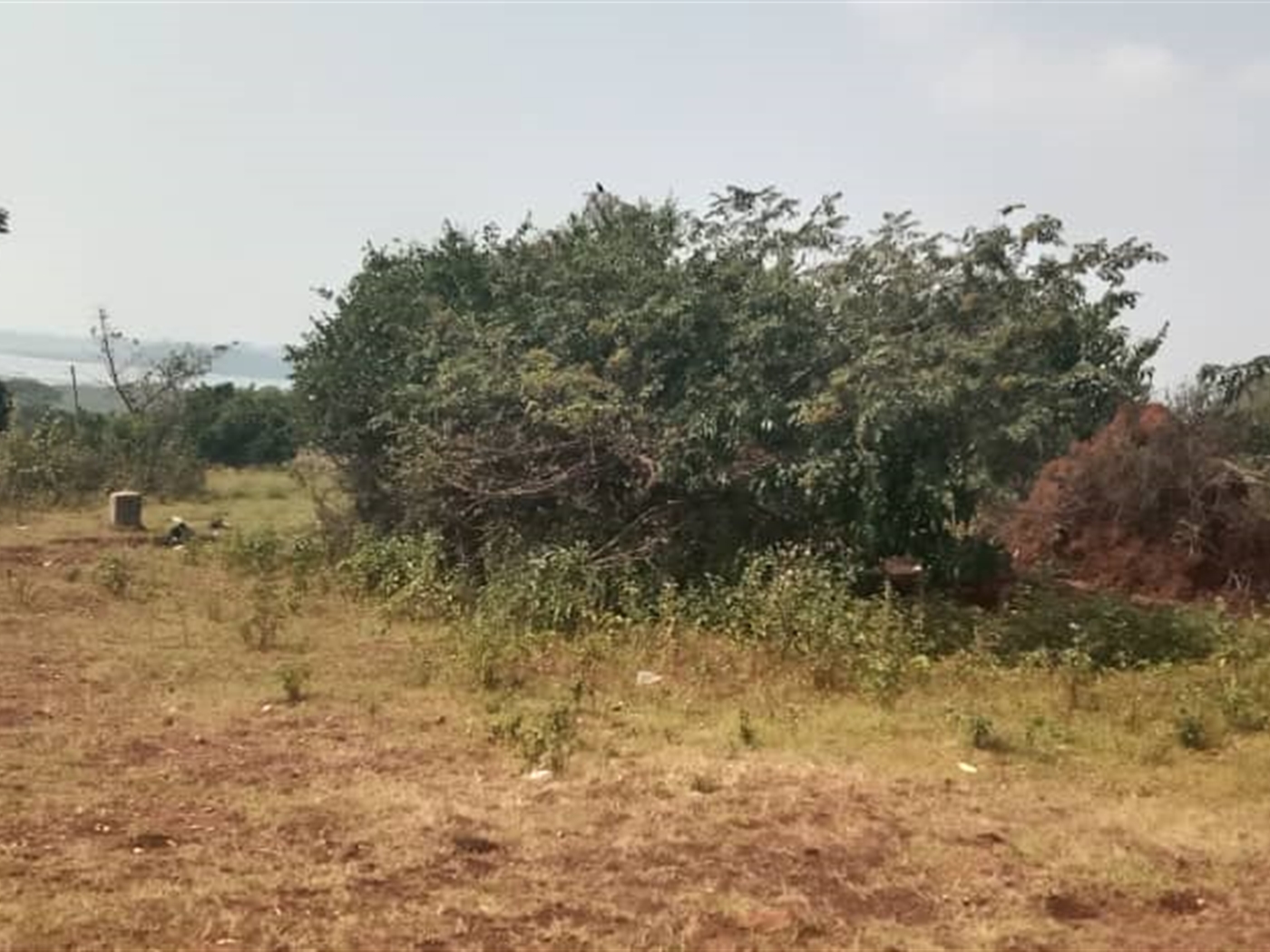 Residential land for sale in Lutembe Wakiso Uganda