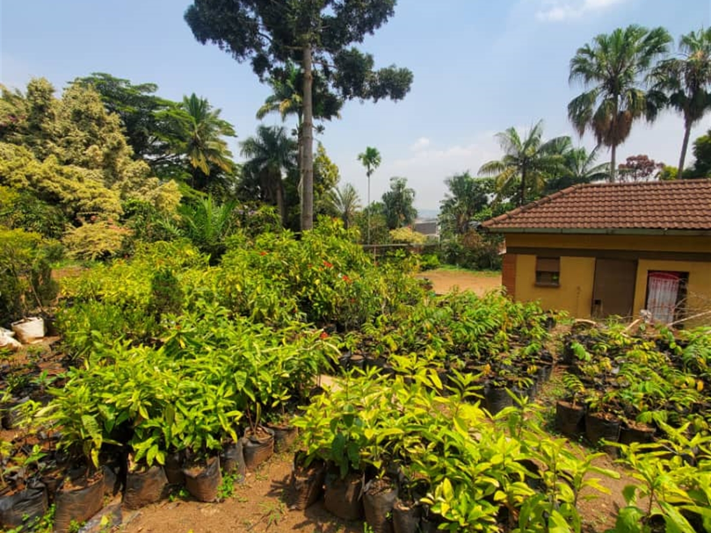 Residential land for sale in Lweza Wakiso Uganda