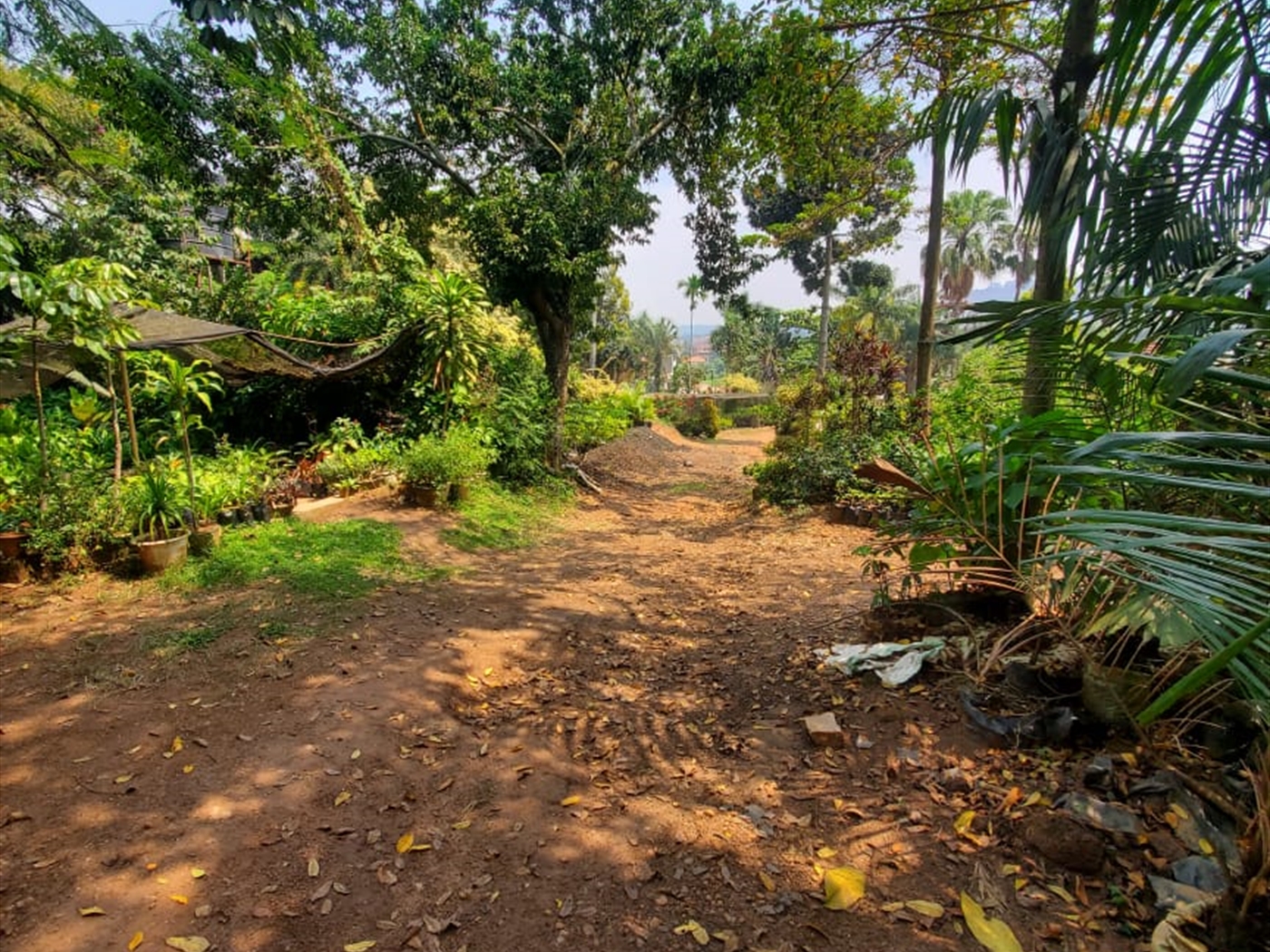 Residential land for sale in Lweza Wakiso Uganda