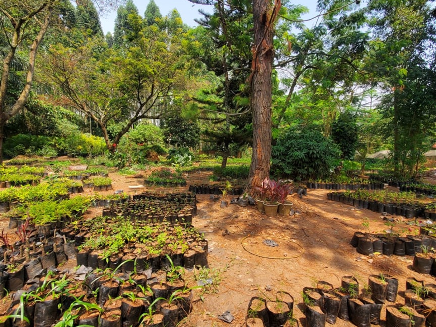Residential land for sale in Lweza Wakiso Uganda