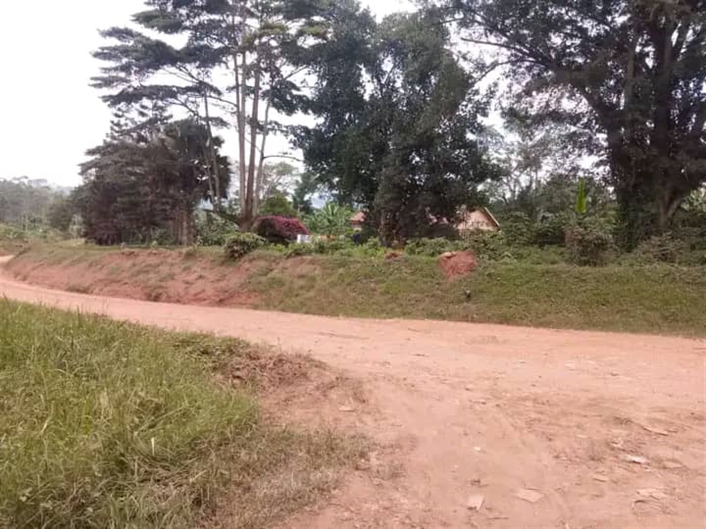 Residential land for sale in Katale Wakiso Uganda