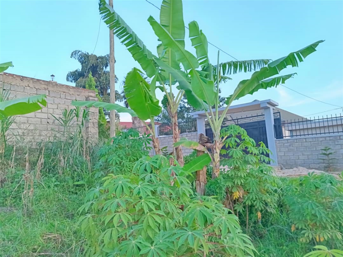 Residential land for sale in Najjera Wakiso Uganda