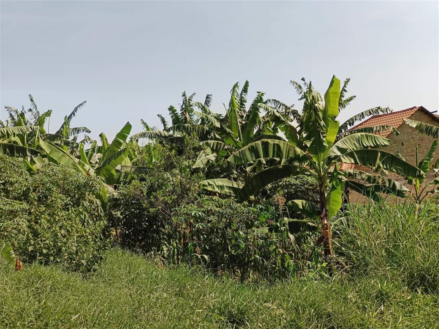 Residential land for sale in Najjera Kampala Uganda