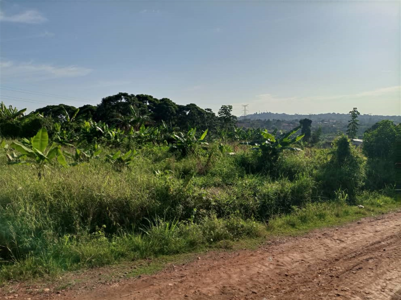 Residential land for sale in Najjera Wakiso Uganda
