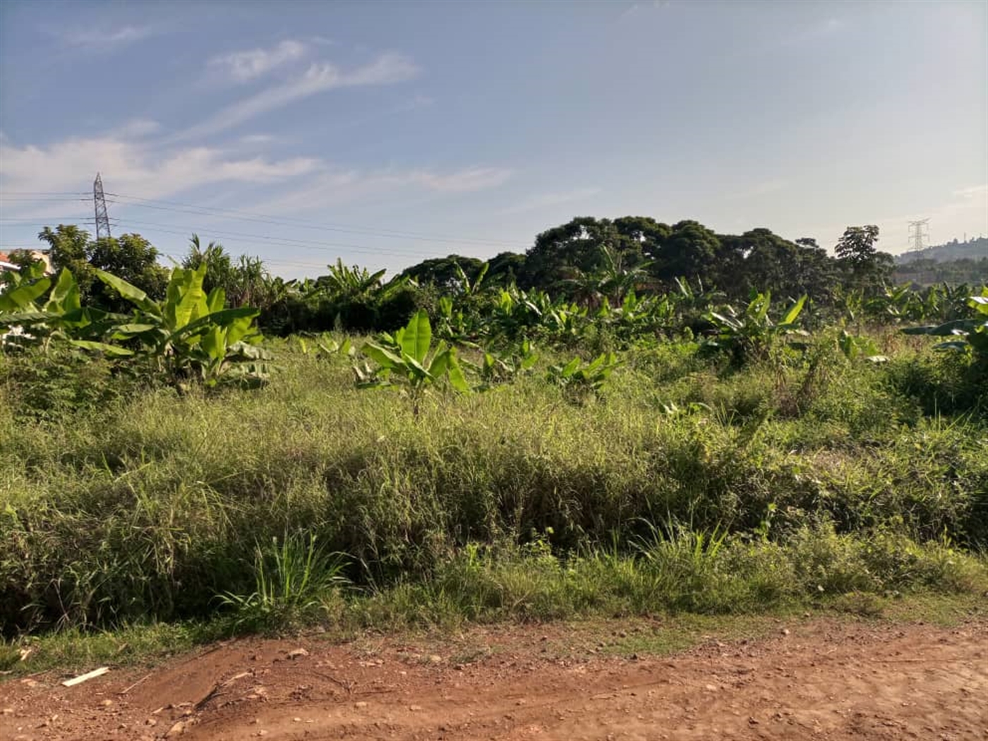 Residential land for sale in Najjera Wakiso Uganda