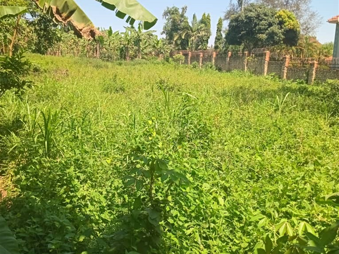 Residential land for sale in Najjera Wakiso Uganda