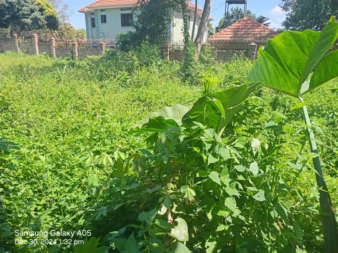 Residential land for sale in Najjera Wakiso Uganda