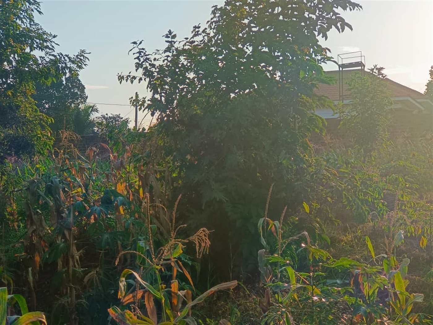 Residential land for sale in Najjera Wakiso Uganda