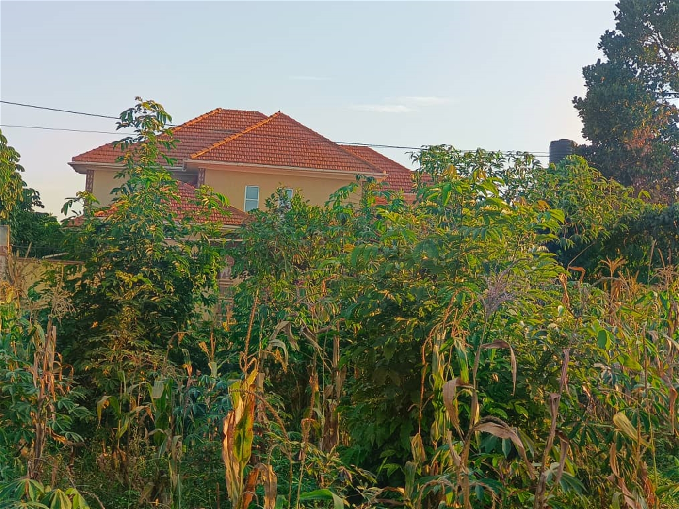 Residential land for sale in Najjera Wakiso Uganda