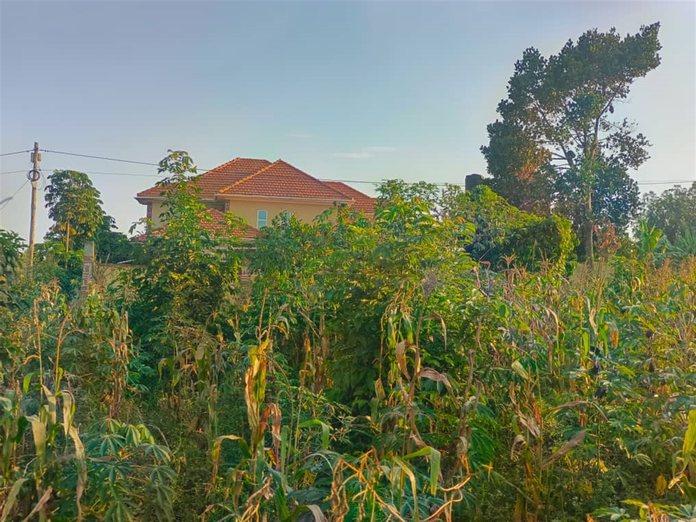 Residential land for sale in Najjera Wakiso Uganda