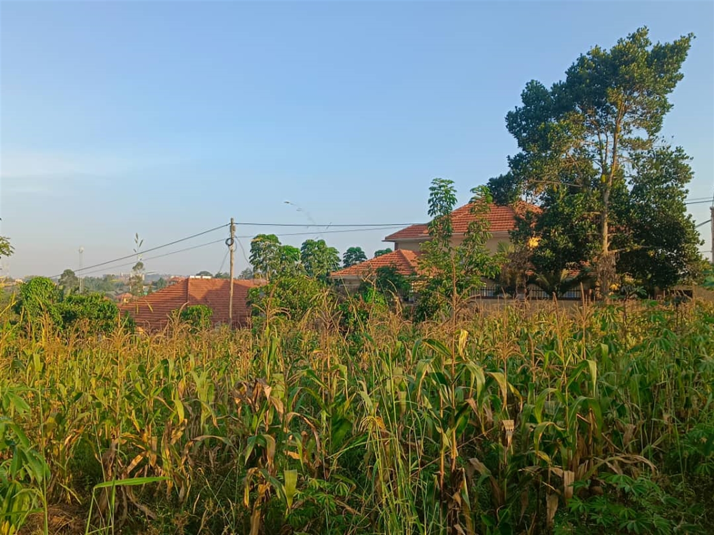 Residential land for sale in Najjera Wakiso Uganda