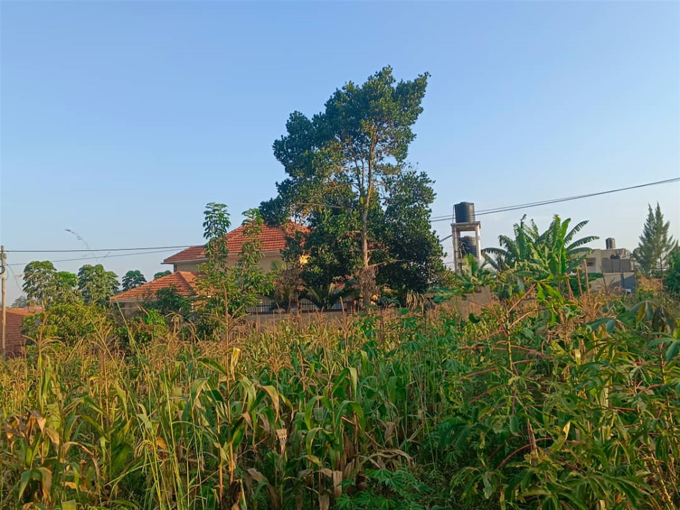 Residential land for sale in Najjera Wakiso Uganda