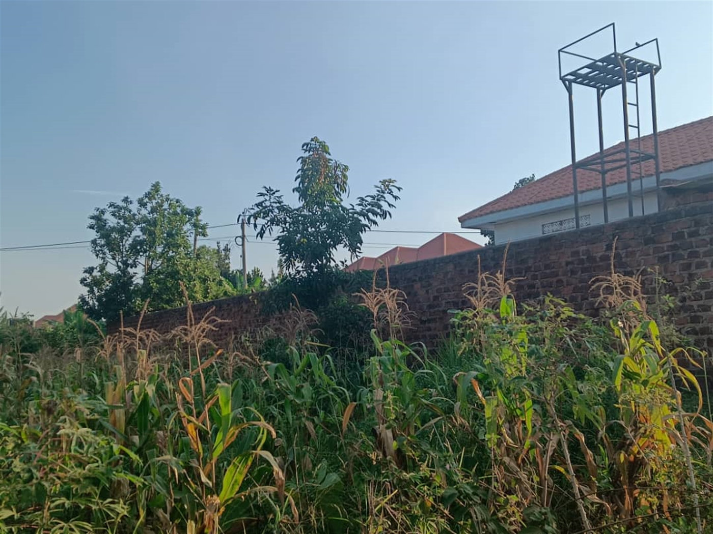 Residential land for sale in Najjera Wakiso Uganda