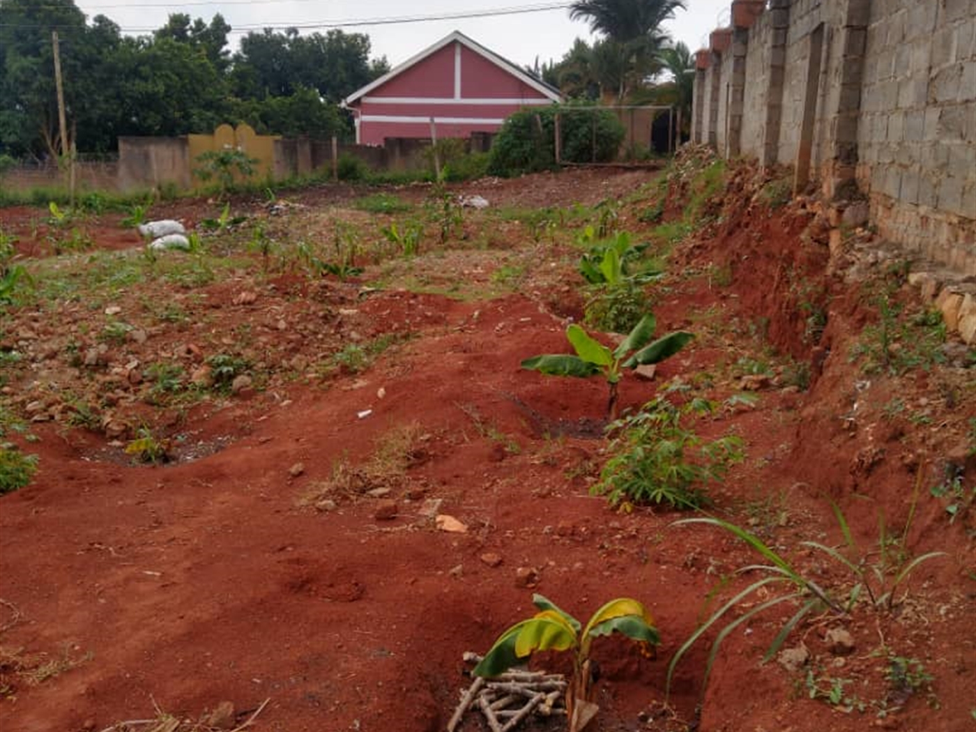 Residential land for sale in Najjera Wakiso Uganda