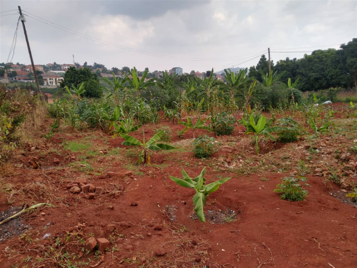 Residential land for sale in Najjera Wakiso Uganda