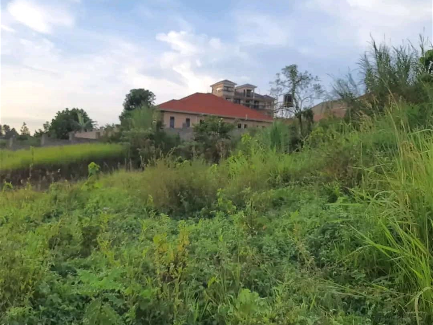 Residential land for sale in Najjera Wakiso Uganda,